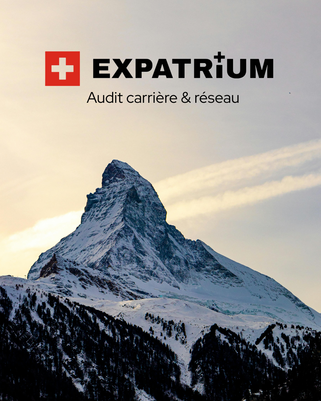 Audit Carrière & Réseau